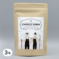 초이스팜 건오렌지 슬라이스 특품, 3개, 40g