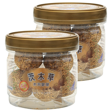 Catfeet 木天蓼球 幫助貓咪舒壓 清潔牙齒好幫手 療癒系貓咪啃咬玩具球 5入, 2罐, 木天蓼