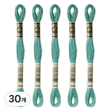 브랜드얀 DMC 자수실 25번 면사, 3849, 30개