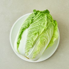 땅끝 해남 배추, 1.6kg, 1개, 1개입