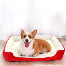 제제펫 소프트 컬러 애견방석, Y107PCNS006, 1개