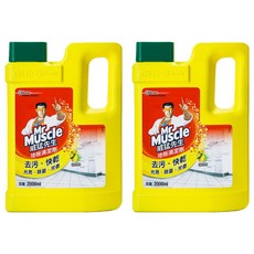 威猛先生地板清潔劑 去汙快乾光亮除菌芳香, 2L, 2桶