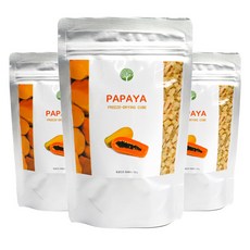 큐브형 동결건조 파파야, 15g, 3개