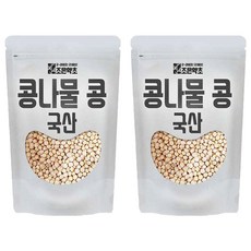 조은약초 콩나물 콩, 2개, 400g