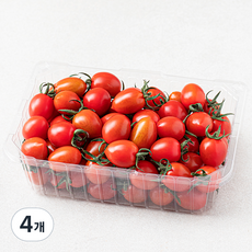 부성 대추 방울토마토, 1kg, 4팩
