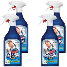 홈스타 욕실청소용 세정제, 500ml, 4개
