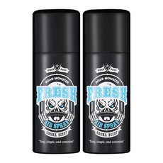 로드몬스터 프레쉬에어 차량용 탈취제, 100g, 2개