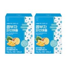 데이앤 콤부차 파인애플 30p, 5g, 30개입, 2개