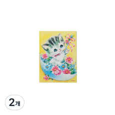 테노이스 마그네토 노트 라지, 2개