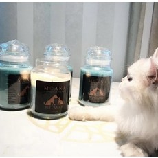 Moana 寵物香氛蠟燭, 630g, 1個