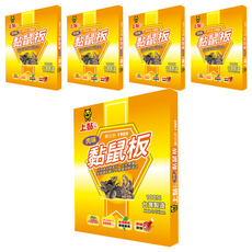 PROCATCH 上黏 肉味黏鼠板 台灣製造 業務專用 食品級香料, 2片, 5盒