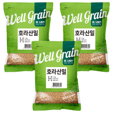 두보식품 웰그레인 캐나다산 호라산밀, 3개, 1kg