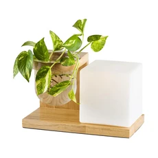 Honey Comb 北歐風玻璃桌燈，簡約時尚，玻璃燈罩，木質底座，適用多種空間, 1入