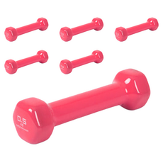 아이워너 PVC 컬러 아령, 0.5kg, 6개