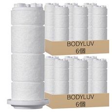 BODYLUV 第二代廚房水龍頭濾芯 手持型, 12個, BDLV21047