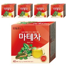 담터 마테차, 1g, 40개입, 5개