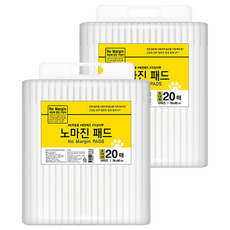노마진 반려견 배변패드 100g, 20개입, 2개