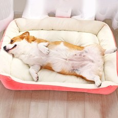 제제펫 소프트 컬러 애견방석, Y107PCNS002, 1개