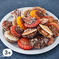 어부심 국내산 제철 비단 가리비 (냉장), 1kg, 3개