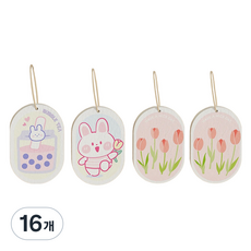 Denville 簡易除水海綿 type 3 隨機出貨, 16個