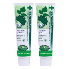 DENTISTE' 牙醫選 台灣公司貨 夜用牙膏 草本牙膏, 2條, 100g