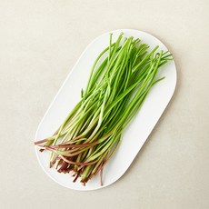 줄기만 있는 청도 미나리, 1개, 100g