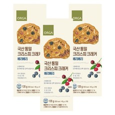 ORGA 全麥穀物脆片 莓果口味, 120g, 3盒