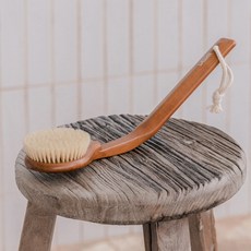 웨신 버취2D 바디 브러쉬, 혼합색상, 1개입, 1개