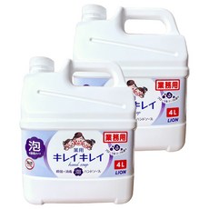 LION 獅王 趣淨 業務用泡沫洗手慕斯 花香, 4L, 2件