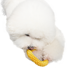 뽀시래기 강아지 오링 치실장난감, 옐로우, 1개