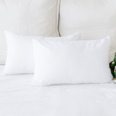 Begozani 拉鍊式雲朵枕芯, 白色, 1個