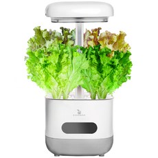 環保箱智慧LED水耕栽培機, 1個