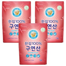 한입 100% 구연산, 1kg, 4개