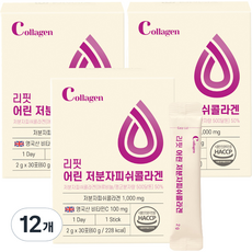 온유바이오 리핏 어린 저분자피쉬콜라겐 30p, 12개, 60g