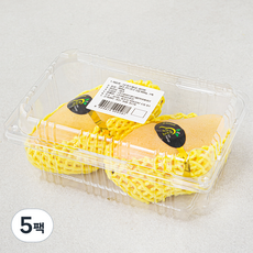 과일엔 태국산 골드망고, 800g, 5팩