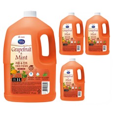 kitchen soap 環保洗碗精 葡萄柚薄荷香, 3L, 4個