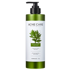 Shower mate 茵陳蒿淨痘沐浴乳，祛痘抗痘，清潔毛孔, 艾草香, 500g, 1瓶