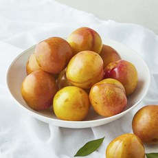 곰곰 꼬마 자두(소과), 700g, 1팩