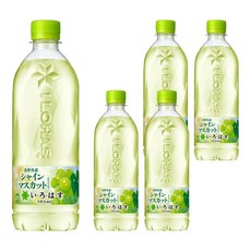 水森活 iLOHAS 白葡萄風味水, 540ml, 5個