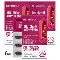 naturalplus 輔酶Q10 Plus膠囊 15g, 6個, 30顆