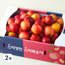 당찬 천도 복숭아, 5kg, 2개