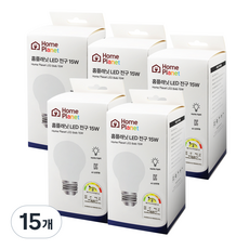 홈플래닛 안정기 내장형 LED 전구 15W, 주광색, 15개