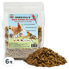 펫츠핸들러 동애등에 피닉스웜, 450g, 6개
