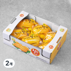성주 고당도 세척포장참외, 1.4kg(6~7입), 2개
