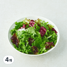 국내산 라디치오믹스 샐러드, 150g, 4개, 1개입