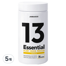 잠백이 에센셜 식물성 단백질 카스테라맛, 750g, 5개