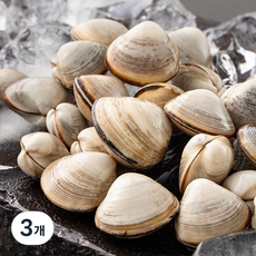 바다림 서해안 산지직송 생물 갯벌 동죽조개 (냉장), 500g, 3개