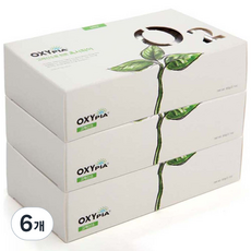 Oxyvia迷你固體氧 車用除臭劑 60g, 6個