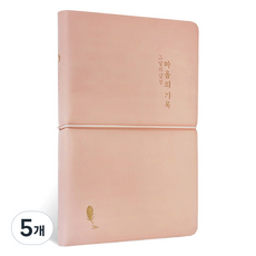 아이씨엘 그날의감성 다이어리 2025, 핑크, 5개