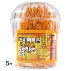동광한방몰 밀리타리스 동충하초 국내산, 40g, 5개
